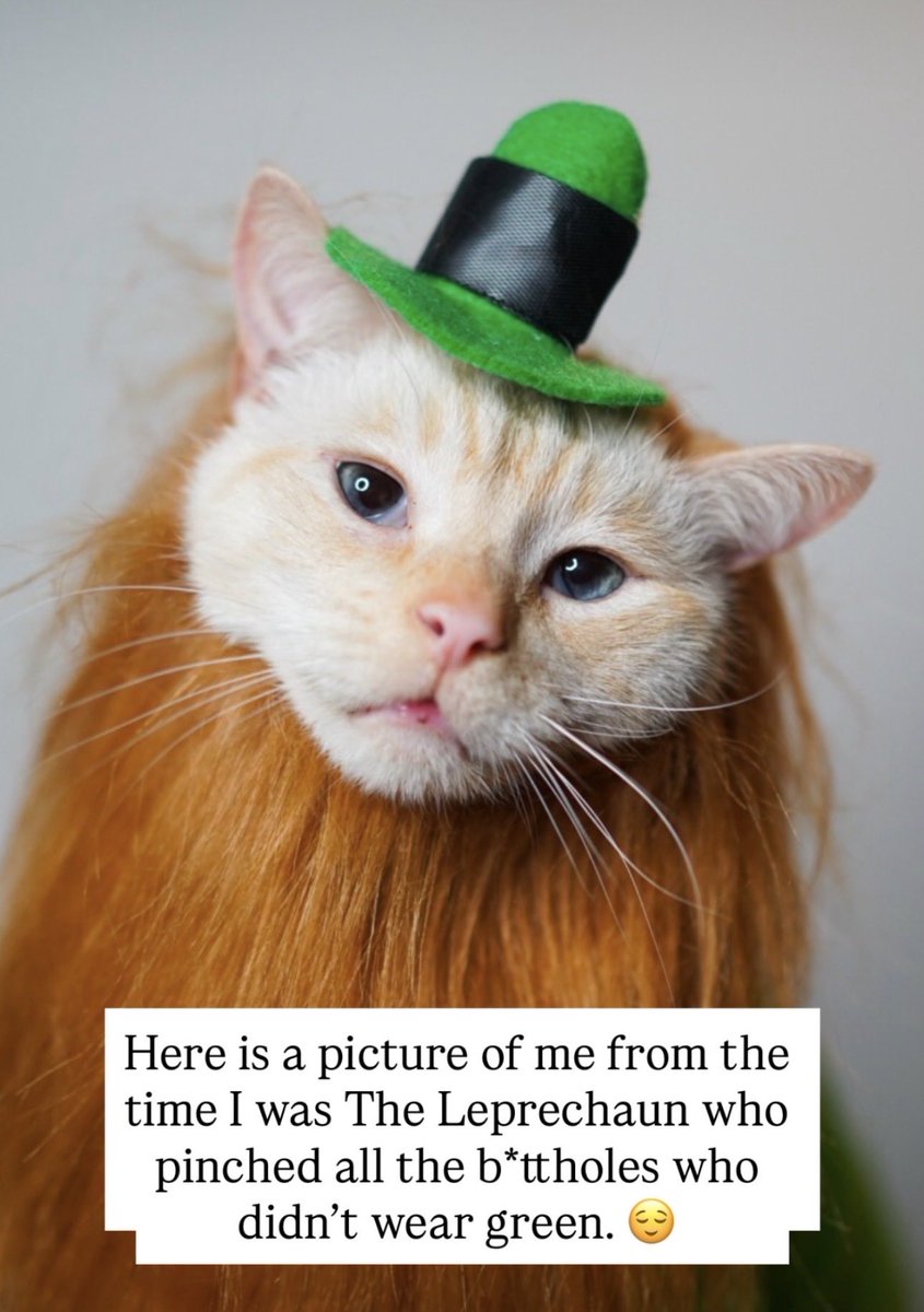 Hun cboio enla bida rehal tweet media