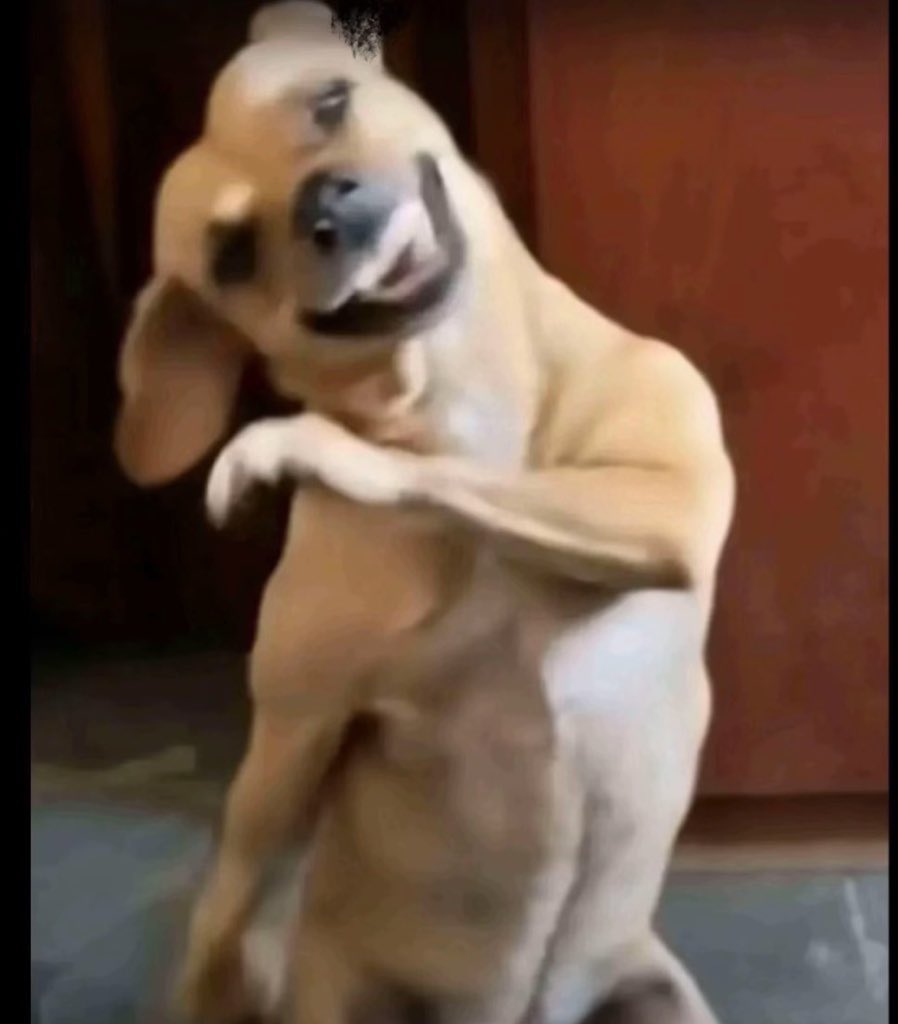 استغفرالله، سبحان الله، الحمدلله. tweet media