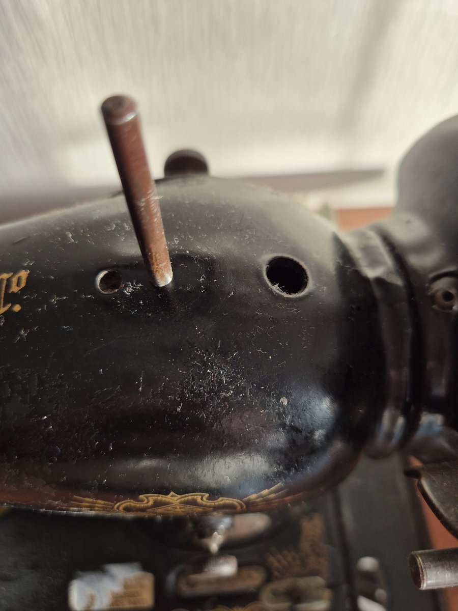 Anne Booth tweet media