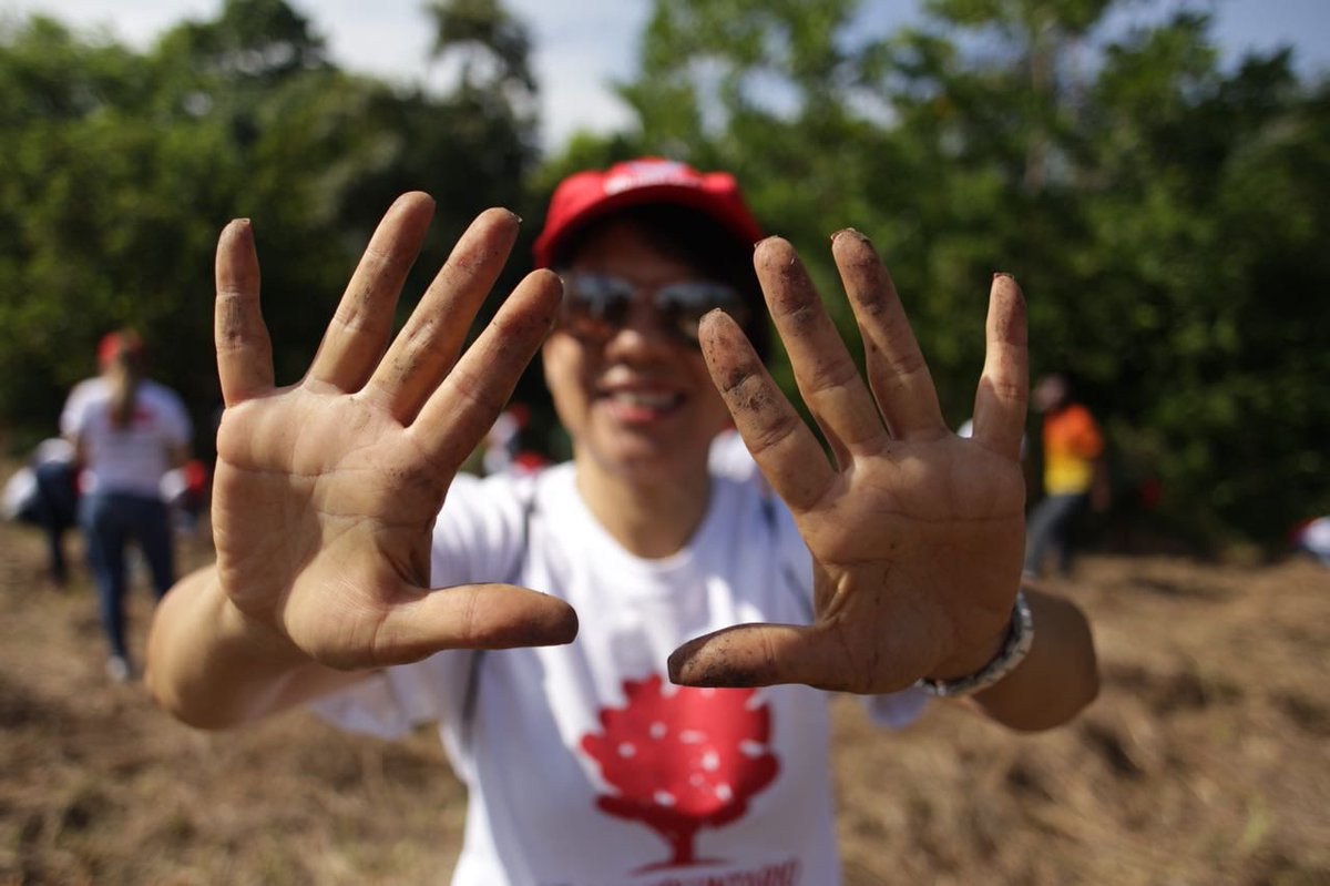 segurostv tweet media