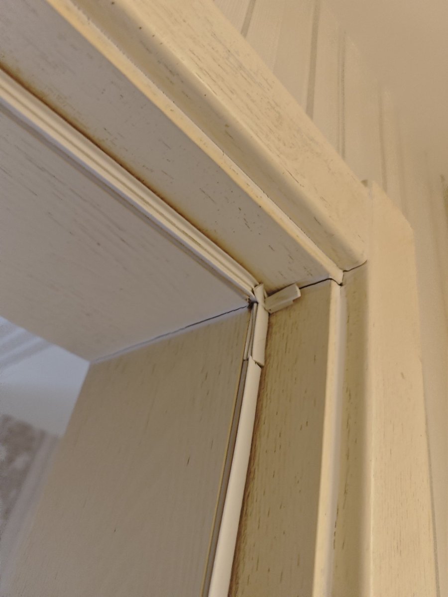 RuGin⚡ tweet media