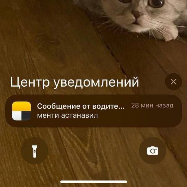 Patrick Star (@patroclus248) on Twitter photo 