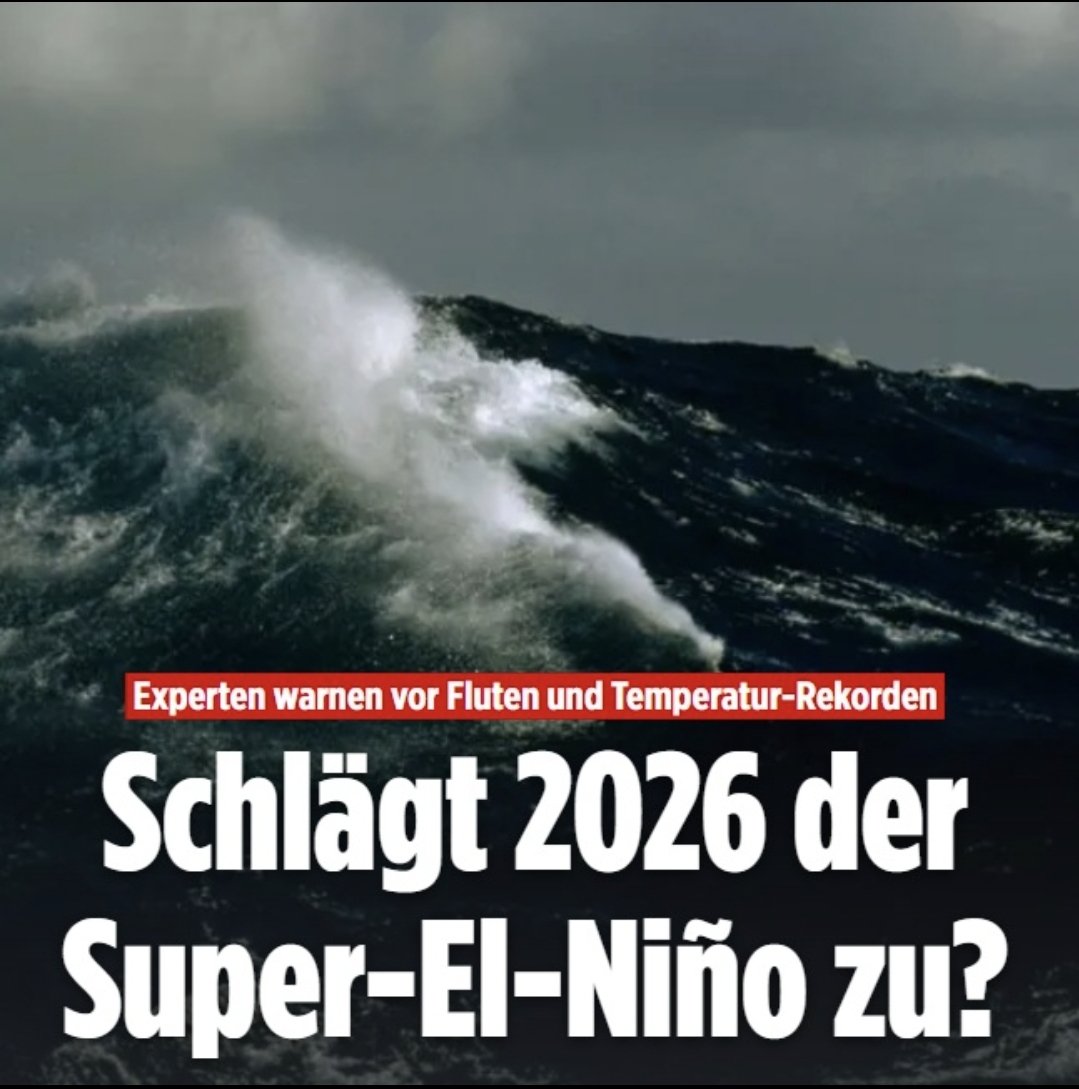 Lieblingskoch ꥟ 𓆉 ꥟ #WLM tweet media