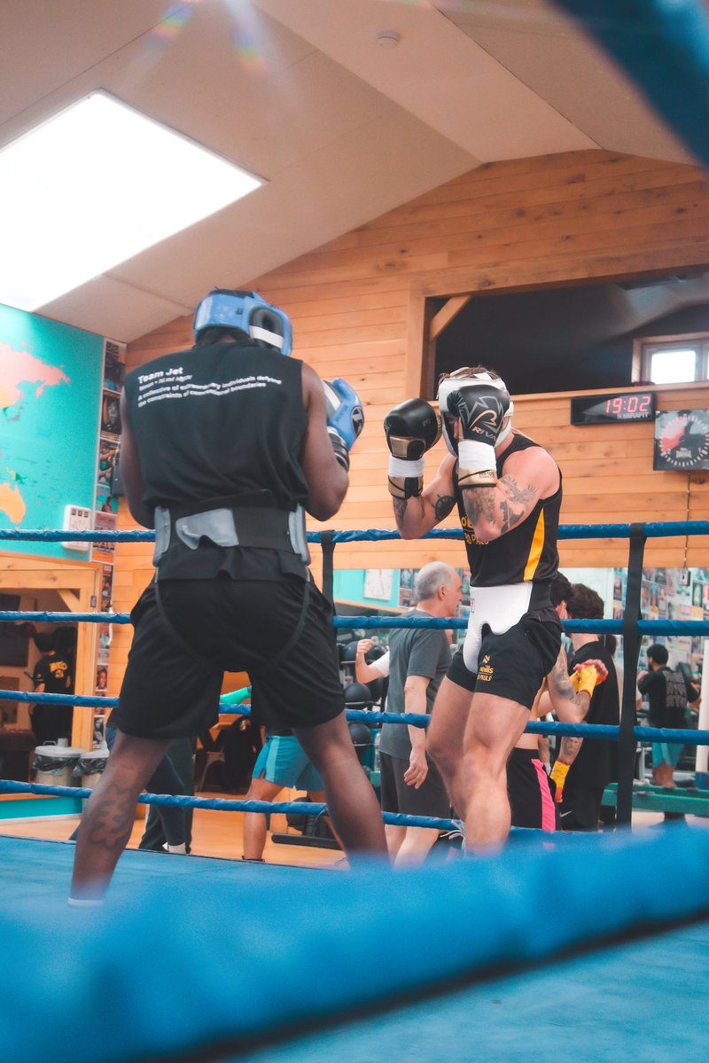 Brad Pauls 🥊 tweet media