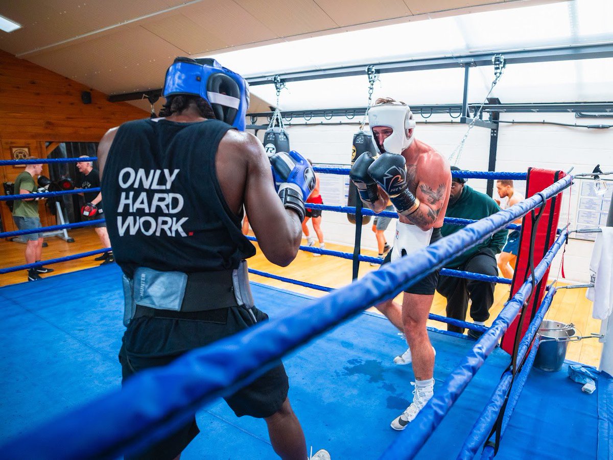 Brad Pauls 🥊 tweet media