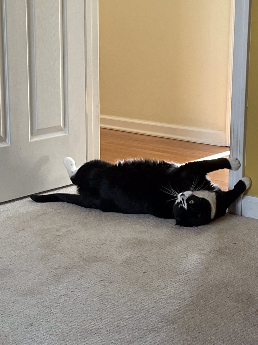 Jerri Barney tweet media