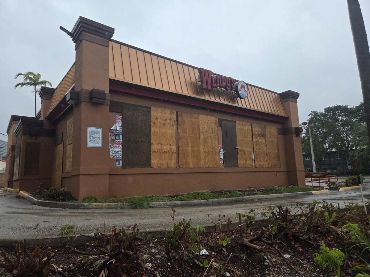 Alexander Noah tweet media