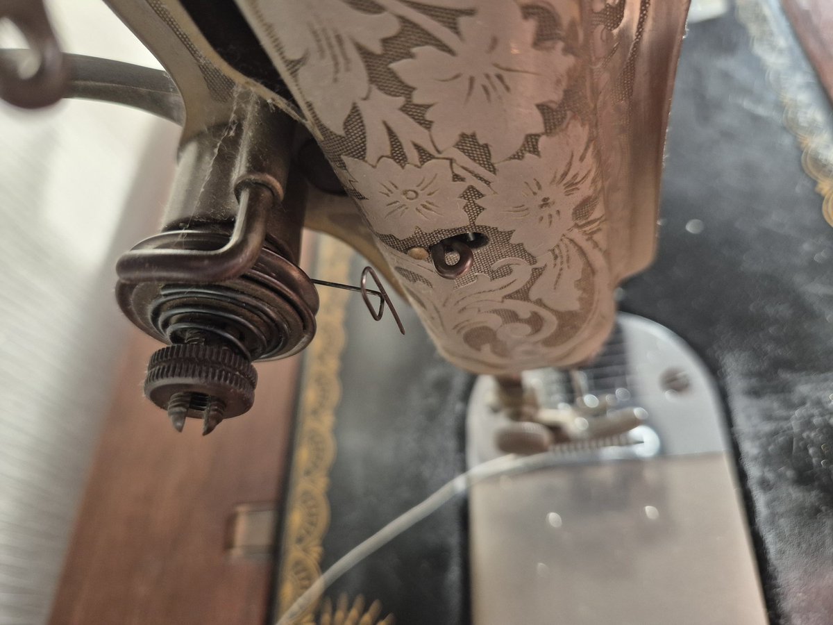 Anne Booth tweet media