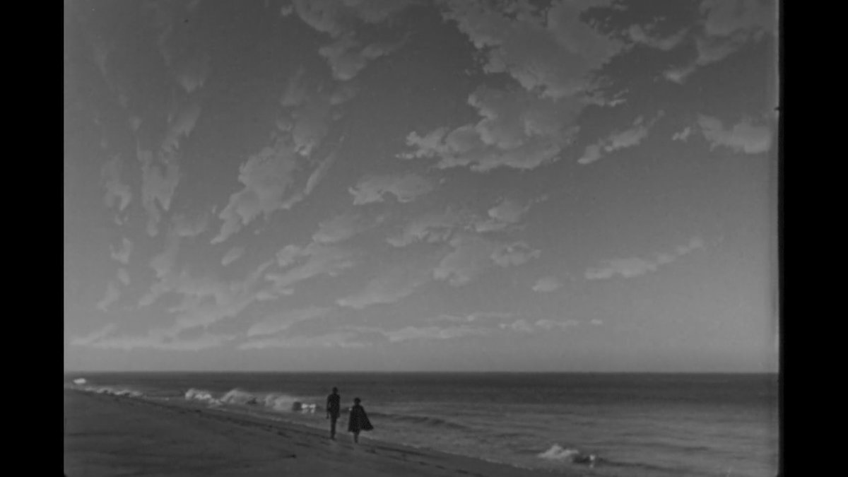 Matheus Marchetti tweet media