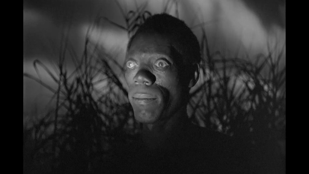 Matheus Marchetti tweet media