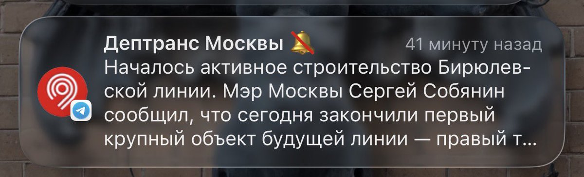 Александр Усольцев tweet media