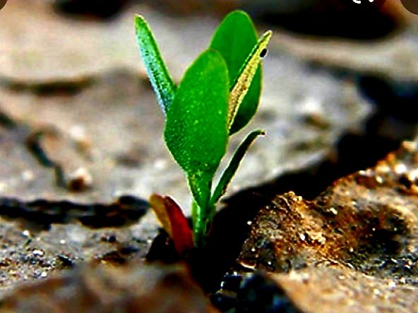 Buona serata <a href="/RIndrio/">Rita Indrio</a> #lipogiranti #lipogiro #scritturebrevi 

#vita +u
Unica
#forza
Umana
#amica
Umile ⬆️