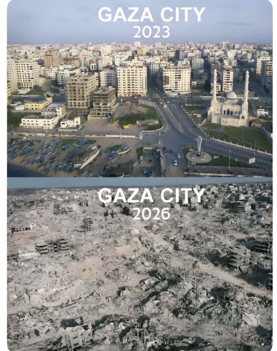 Marlene Robertson🇨🇦 tweet media