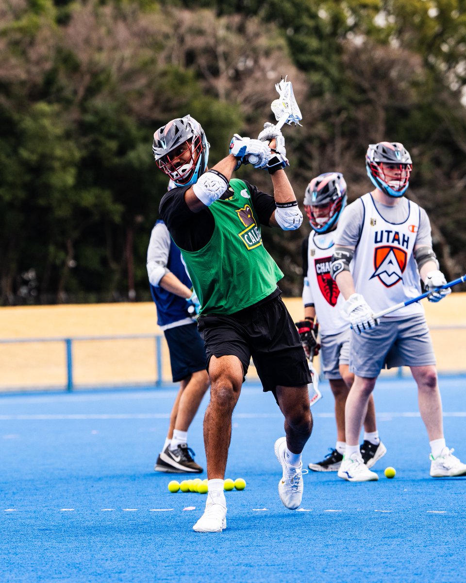 California Redwoods tweet media