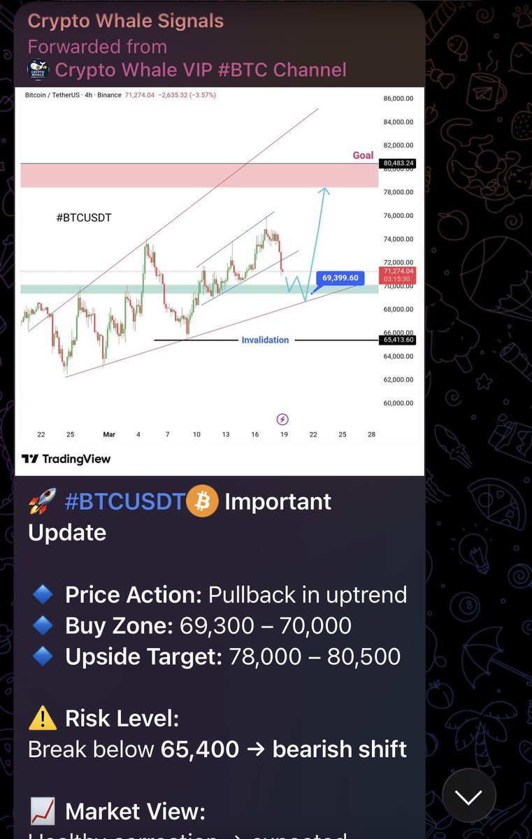 BitWhaleTrader tweet media