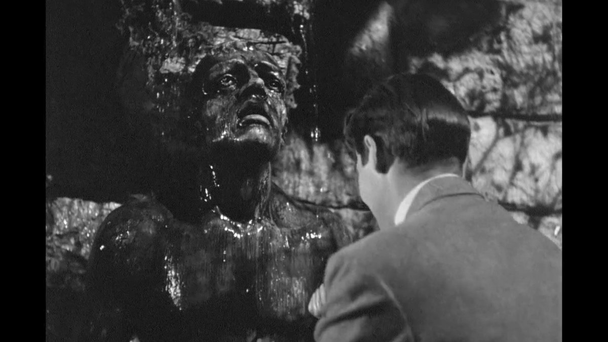 Matheus Marchetti tweet media