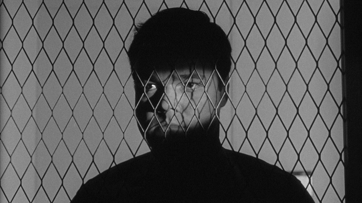 𝐂𝐢𝐧𝐞𝐦𝐚 𝐨𝐟 𝐭𝐡𝐞 𝐔𝐧𝐬𝐞𝐭𝐭𝐥𝐢𝐧𝐠 tweet media