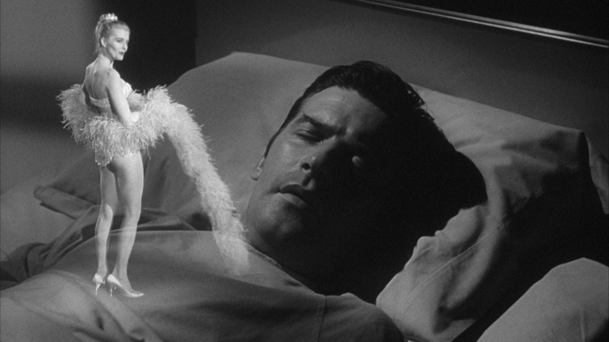 𝐂𝐢𝐧𝐞𝐦𝐚 𝐨𝐟 𝐭𝐡𝐞 𝐔𝐧𝐬𝐞𝐭𝐭𝐥𝐢𝐧𝐠 tweet media