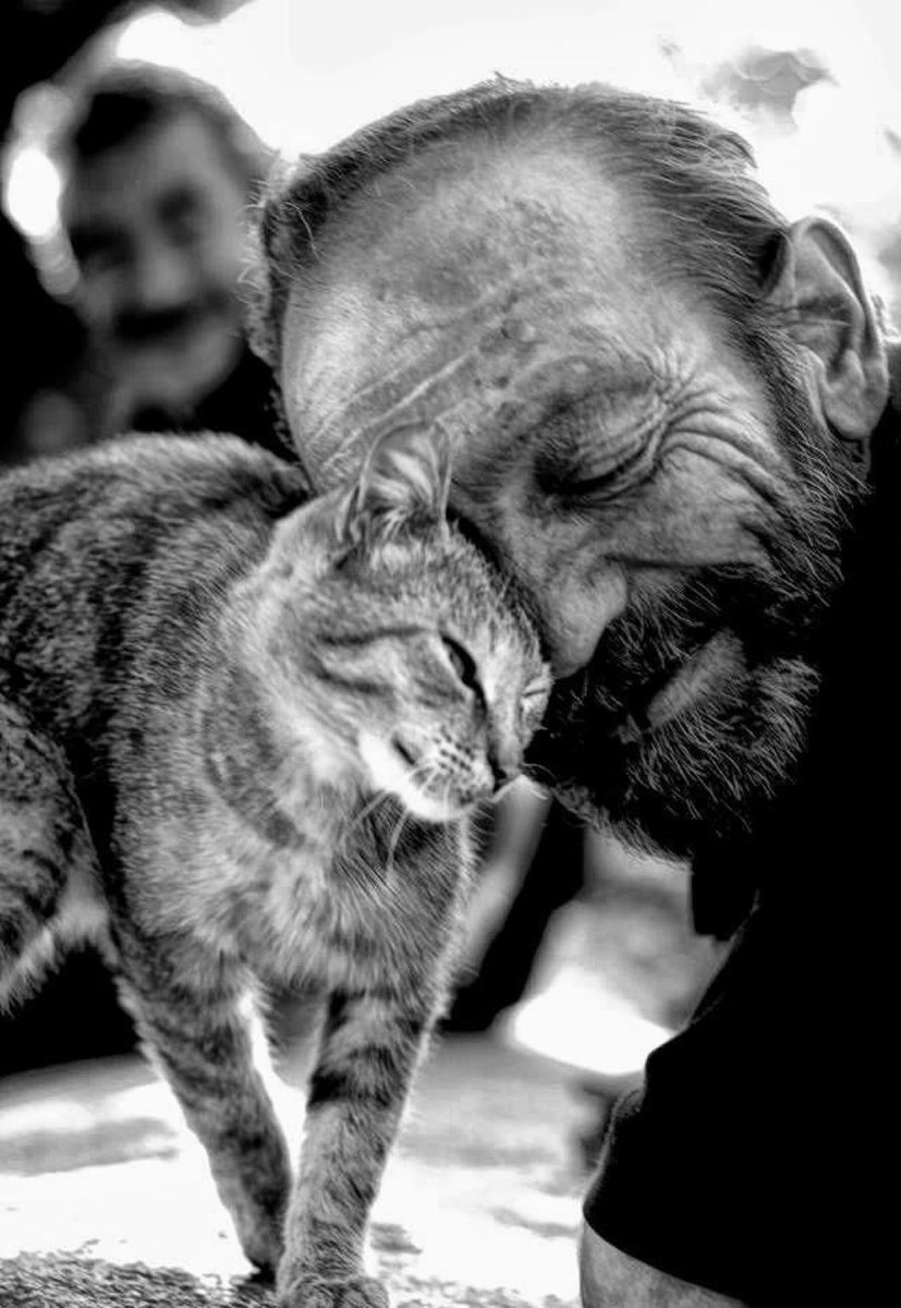 James Anthony 💎 tweet media