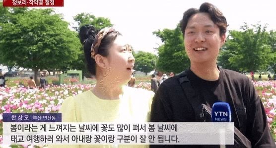 약간 이런 바이브
