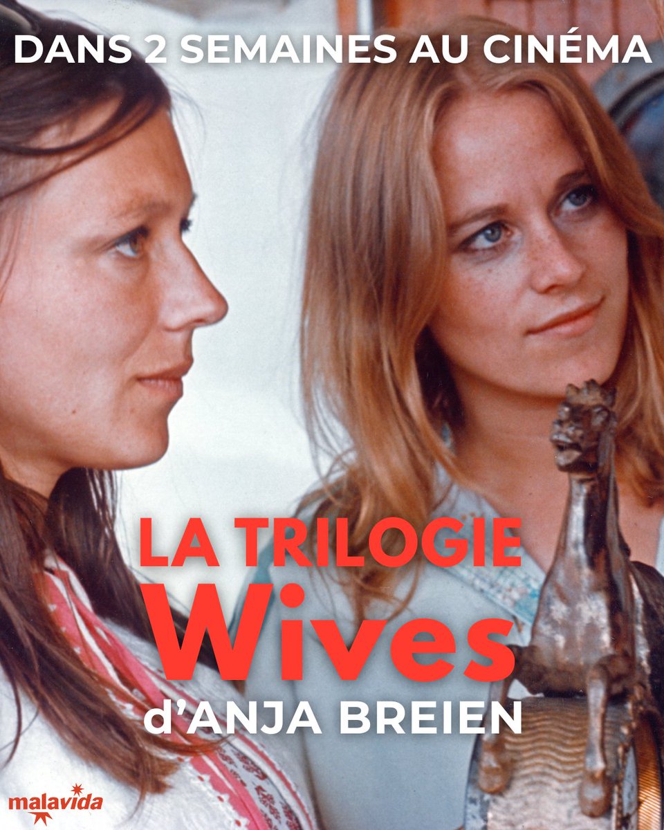 Malavida Films tweet media