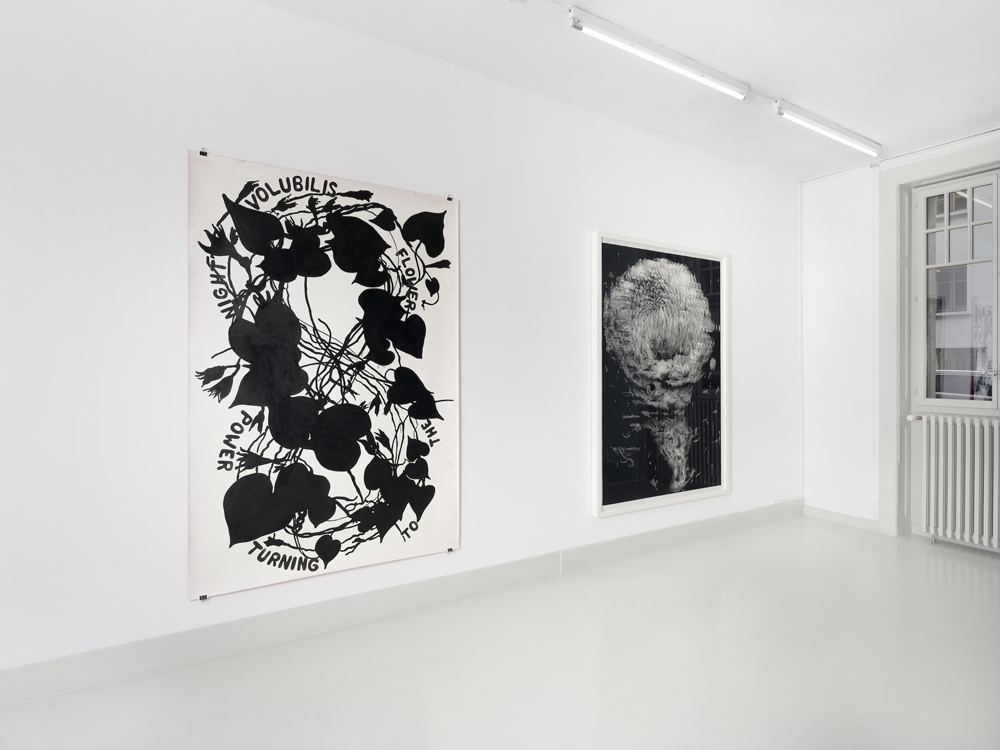 DailyArtFair.com tweet media