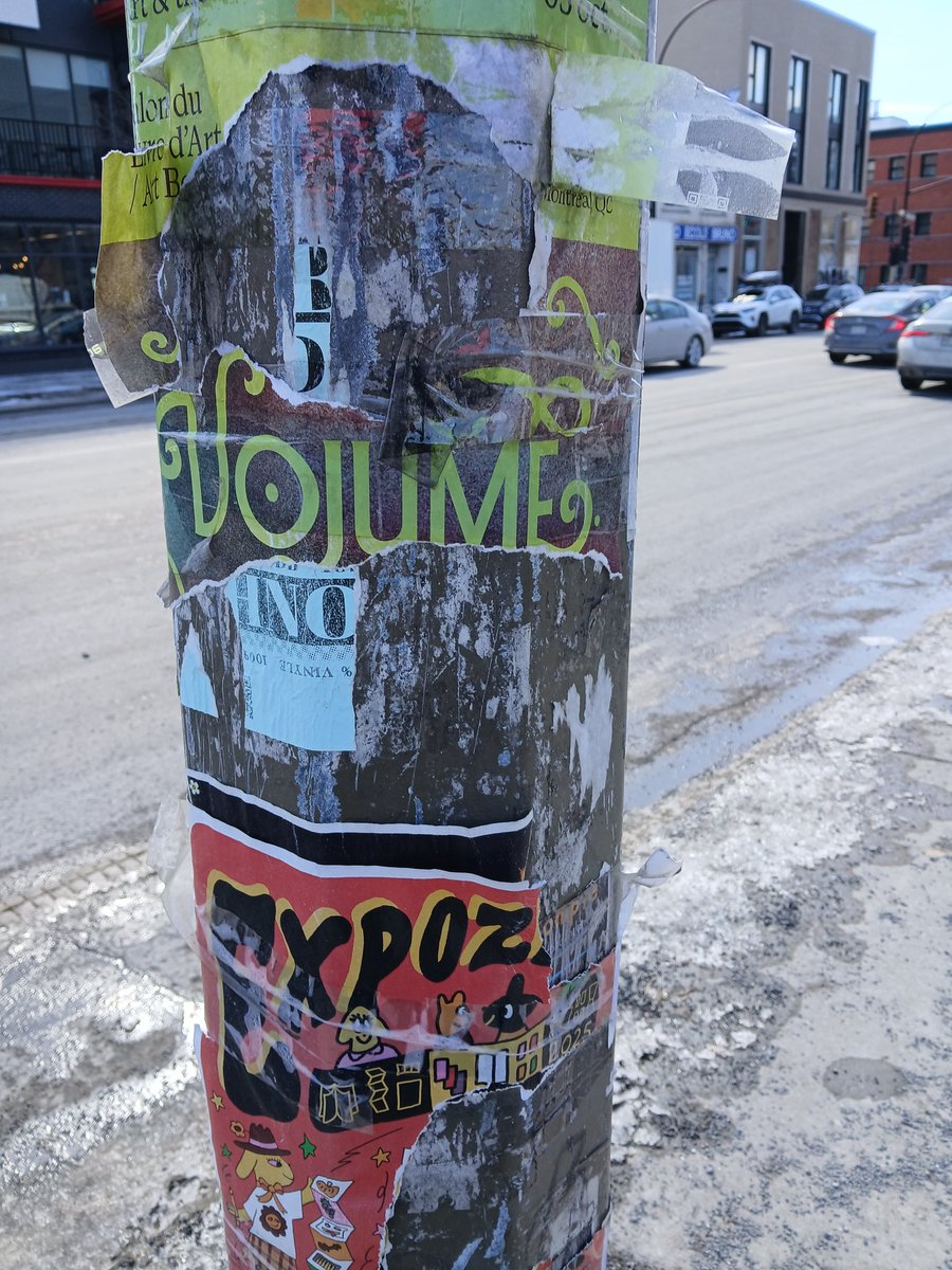 Irizaurus tweet media