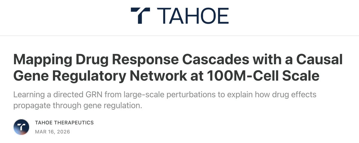 Nima Alidoust tweet media