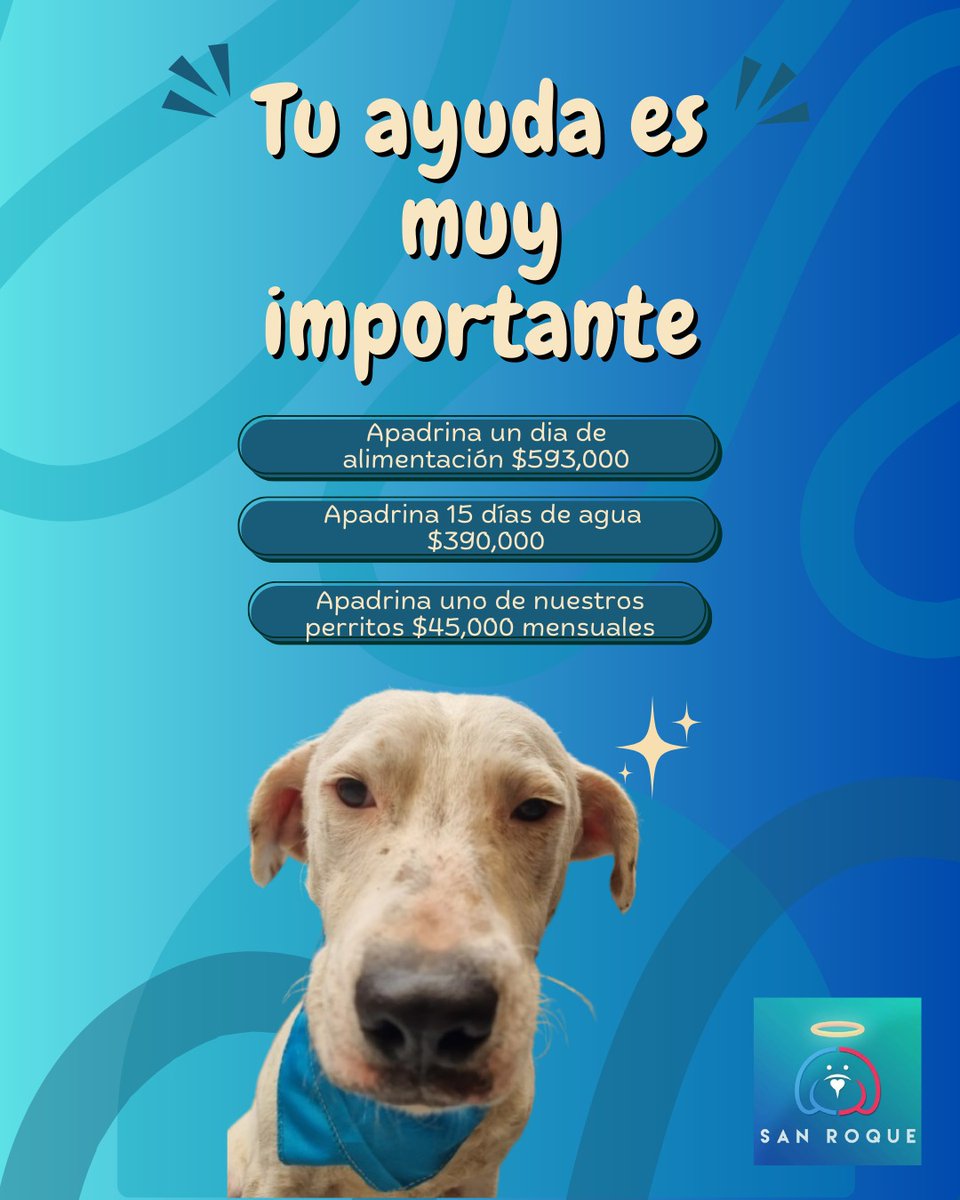 💙 Tu ayuda es muy importante 💙

Cada granito de arena se convierte en alimento, agua y esperanza para nuestros peluditos 🐶

Hoy puedes hacer la diferencia:
✨ Apadrina un día de alimentación
✨ Apadrina días de agua
✨ O conviértete en padrino mensual de uno de nuestros