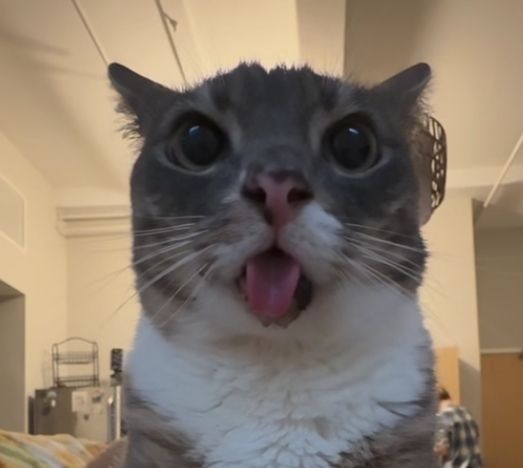 The Winton Daily tweet media