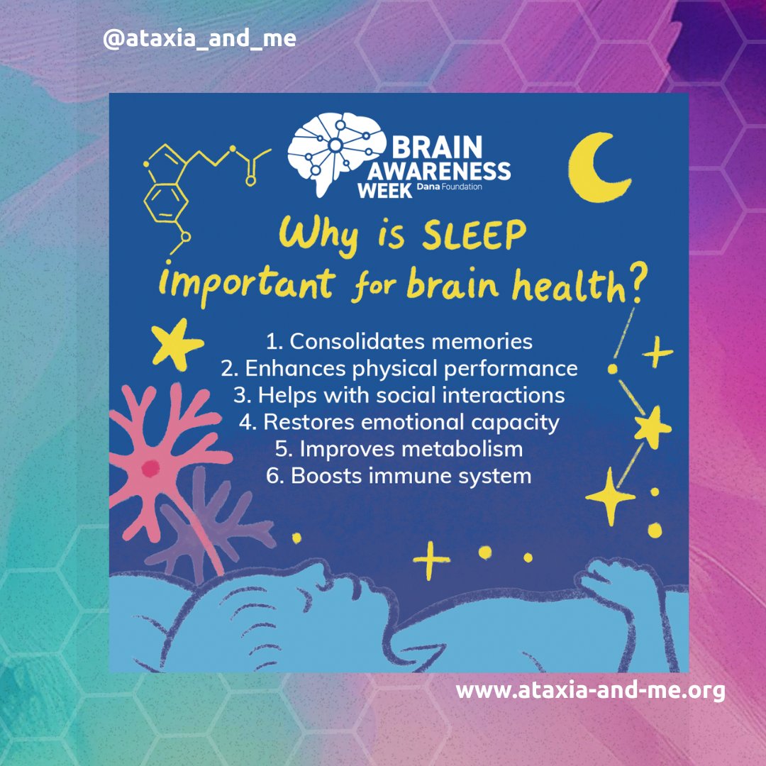 Ataxia_and_Me's tweet photo. Good sleep hygiene is necessary for brain health! We spend one-third of our lives sleeping, so it’s crucial to understand how it impacts the brain and how we function. #BrainAwarenessWeek #BrainWeek #Ataxia #RareDisease https://t.co/vGmWRHvjNb