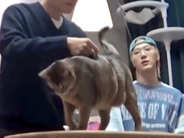 อาจจะต้องดูใหม่