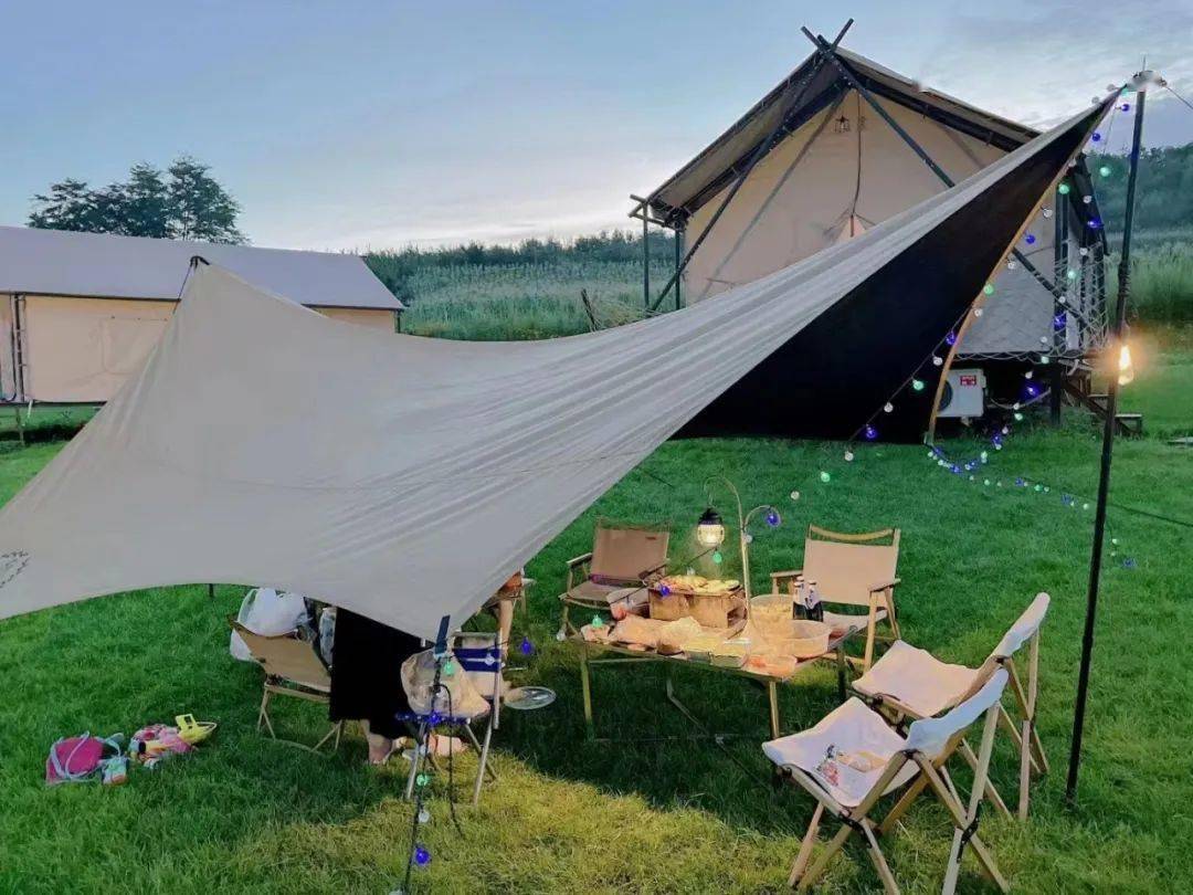 Dina Herrick tweet media