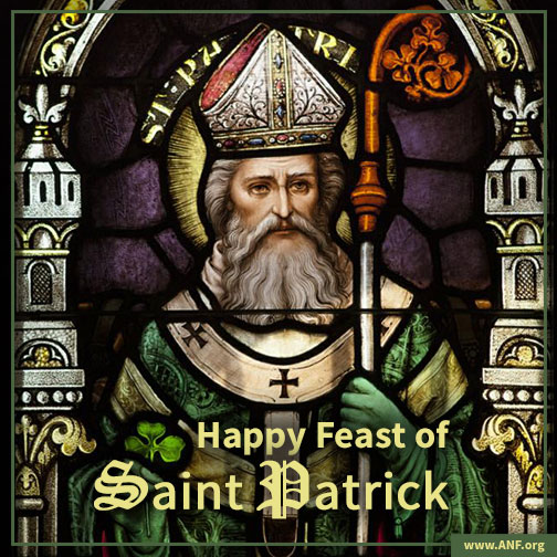 America Needs Fatima tweet media