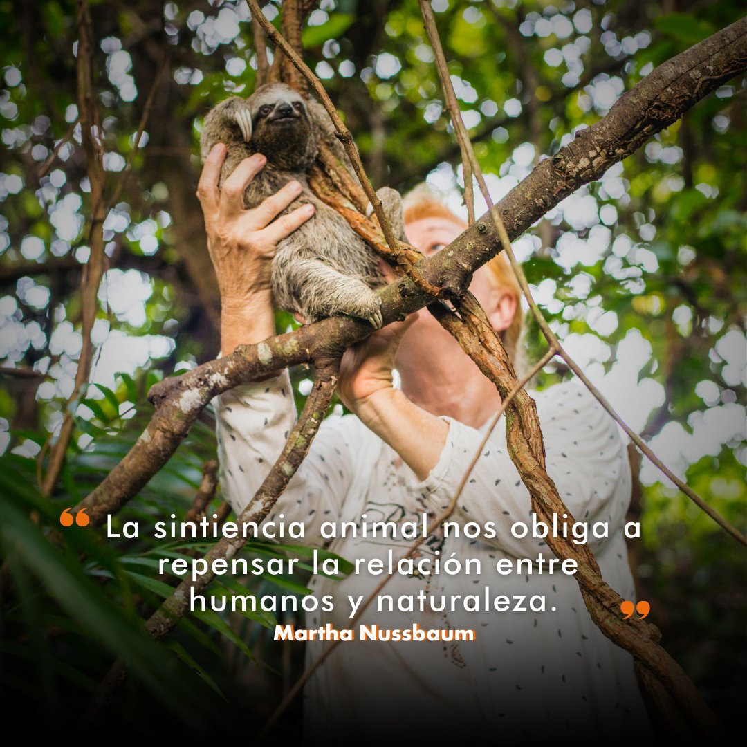 Protección Animal Mundial tweet media