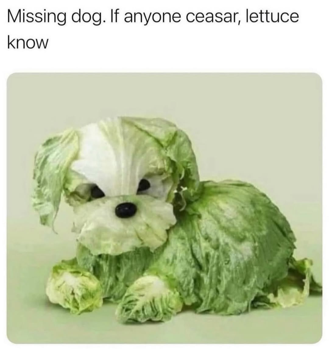 LAnDo NIFFIRG™️🇨🇦 tweet media