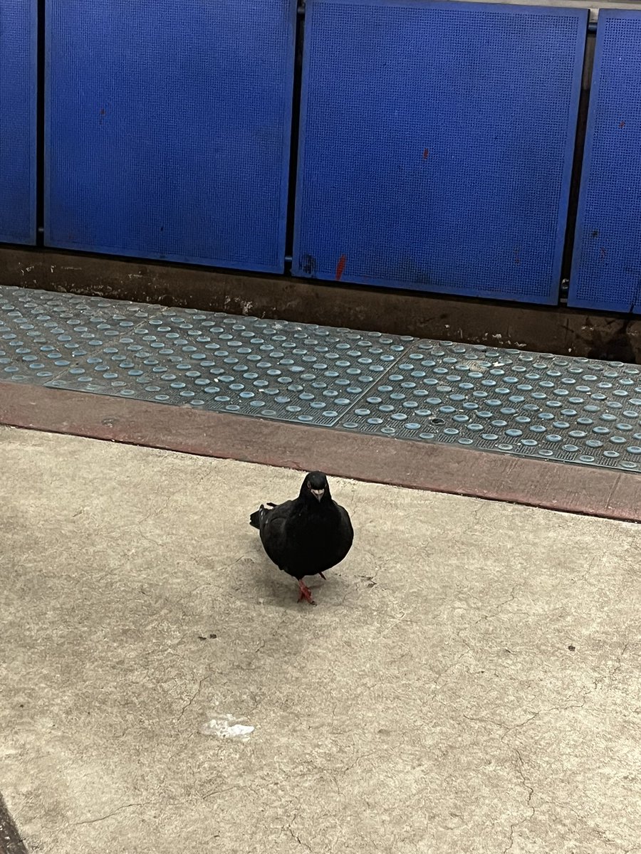 Jackson the Great ☭⃠ tweet media