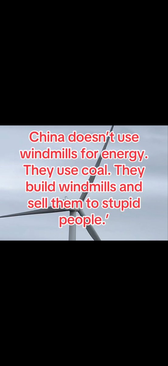 Primrose tweet media