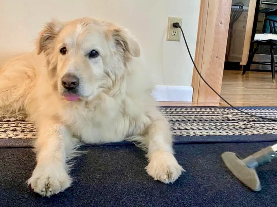 Bryan Marquard tweet media