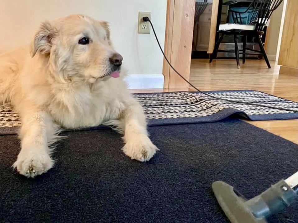 Bryan Marquard tweet media