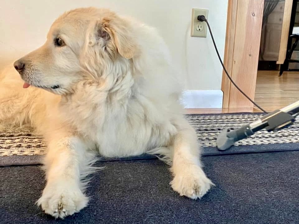 Bryan Marquard tweet media