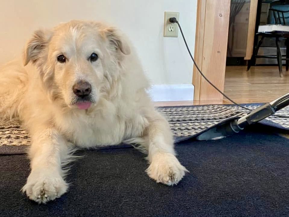 Bryan Marquard tweet media