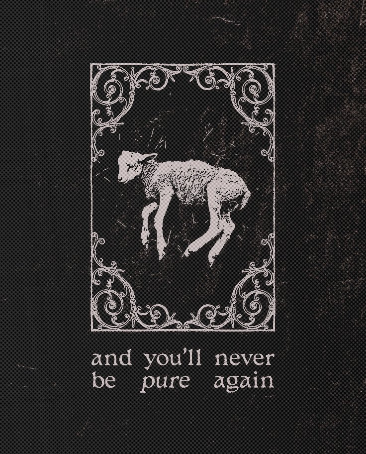 ‍ ‍ ‍ ‍ ᴾᴿᴱᵞ ‍𝕯𝐑𝐈𝐕𝐄 tweet media