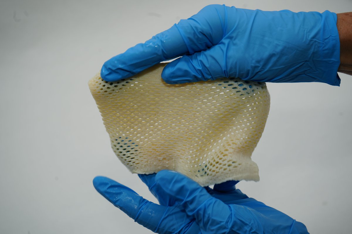 AlloSource tweet media