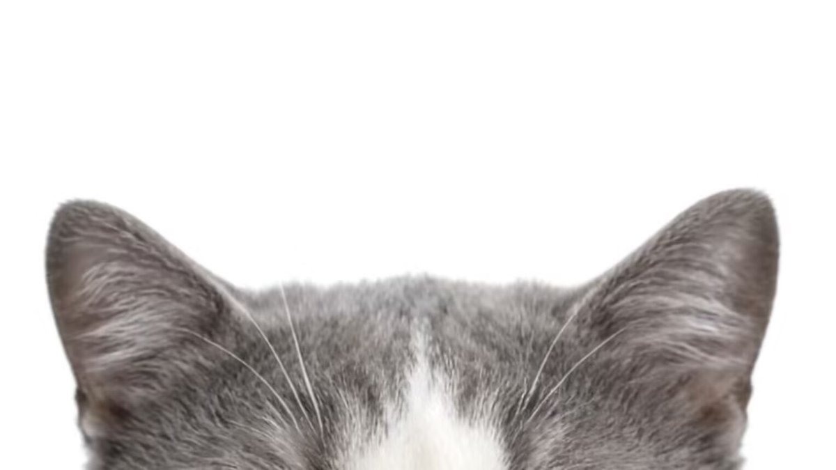 Ice cube🌤️🩵 tweet media