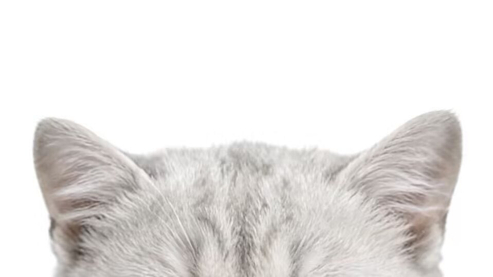 Ice cube🌤️🩵 tweet media