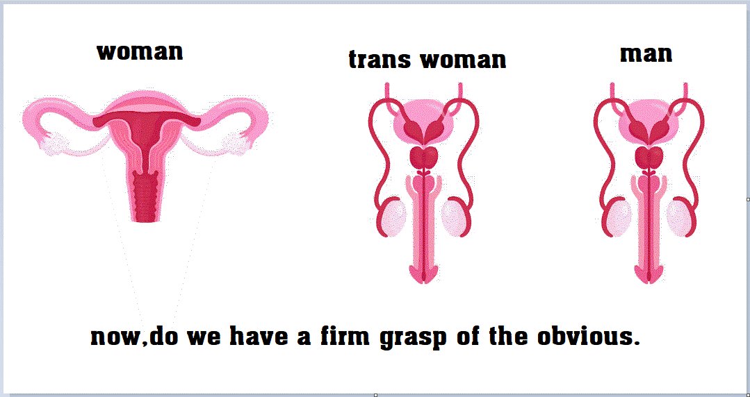 Maz 💚🤍💜 tweet media