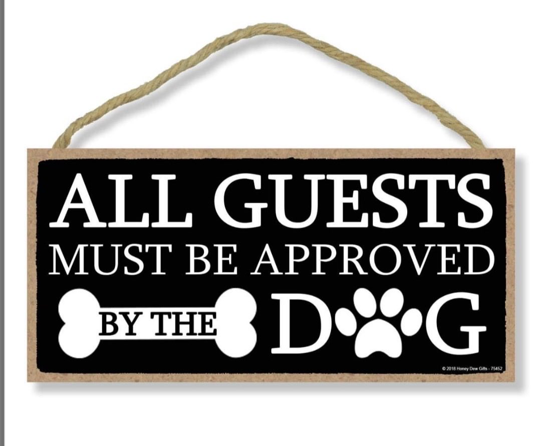 🙏🩵🤎 🐊Robin 🐕🦋❤️🐾 tweet media