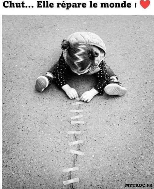 PlanPlan-Bilou tweet media