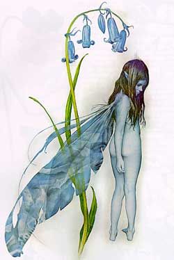 Coffin Boffin tweet media